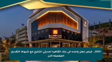 2025.. فرص عمل واعدة في بنك القاهرة لحديثي التخرج مع شروط التقديم المفصلة الآن